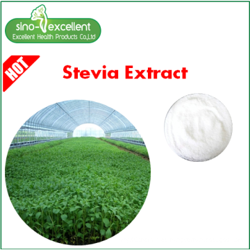 Stevia orgánica pura con rebaudiósido A 60% -99%